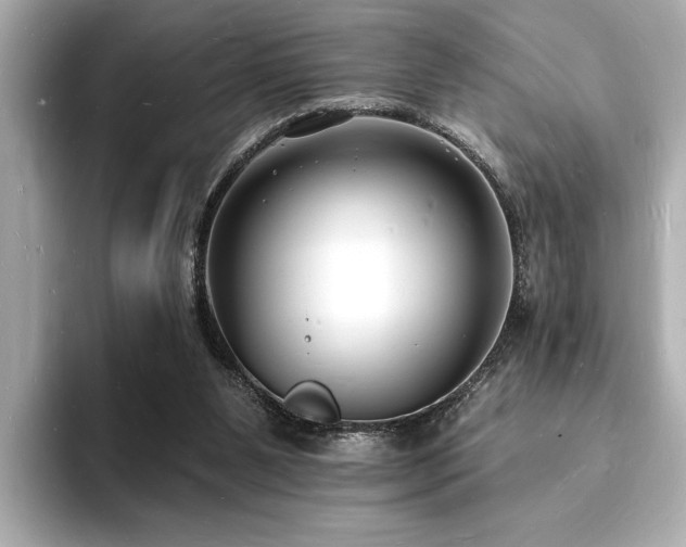 X0000093600111200710151228