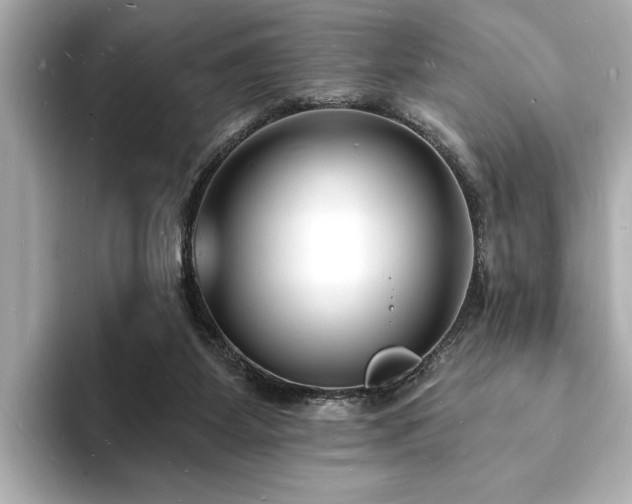 X0000093600115200710151228