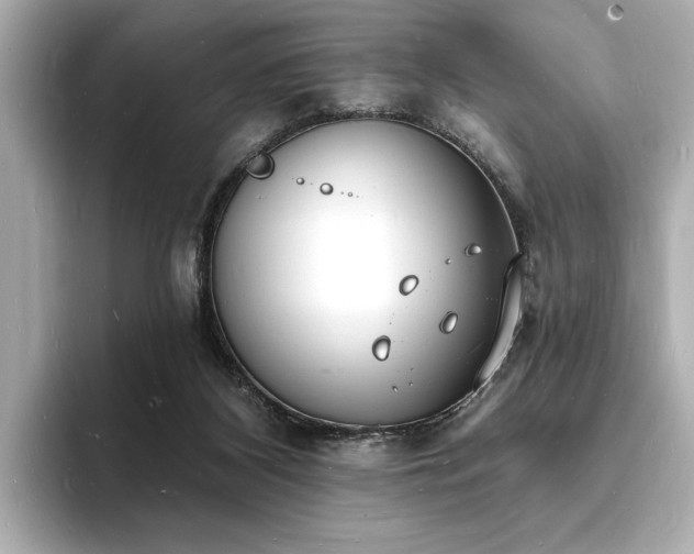 X0000093600116200710151228