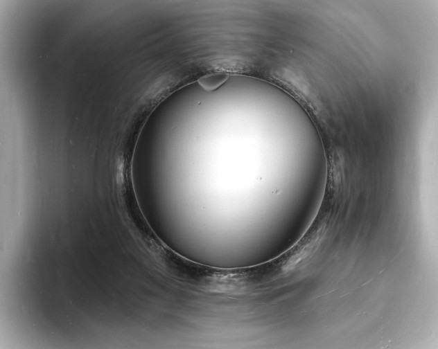 X0000093600117200710151228