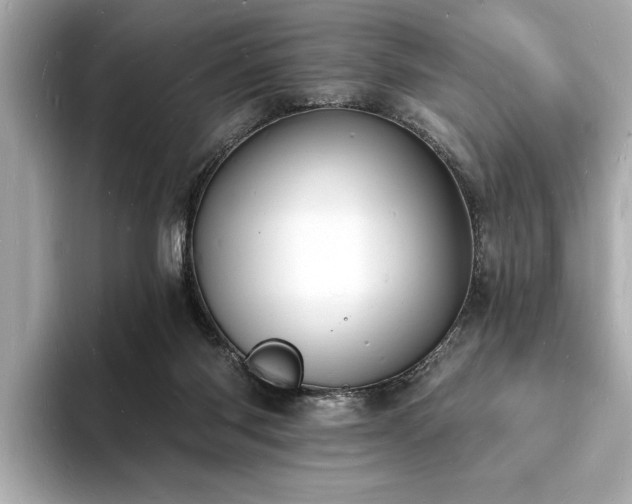 X0000093600118200710151228