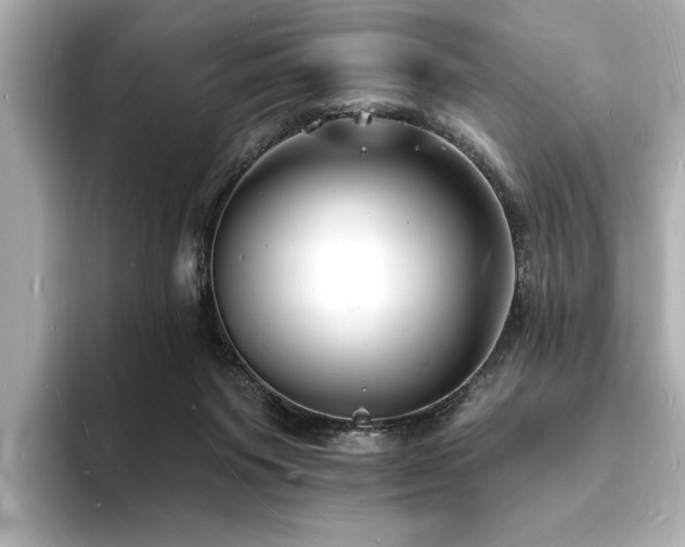 X0000093600119200710151228