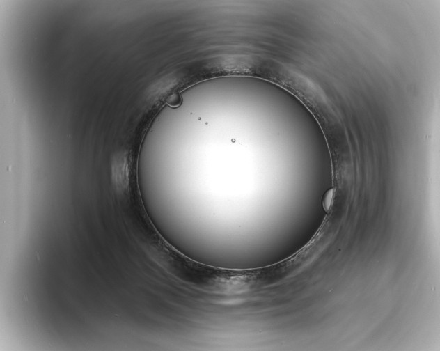 X0000093600120200710151228