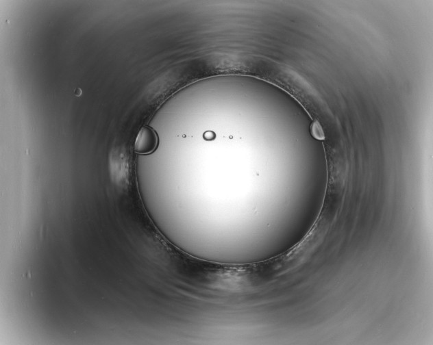 X0000093600124200710151228