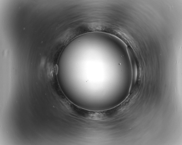 X0000093600125200710151228