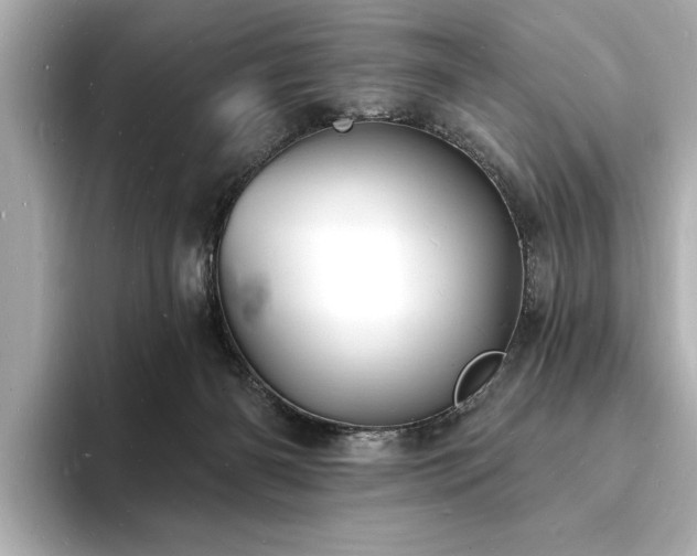 X0000093600126200710151228