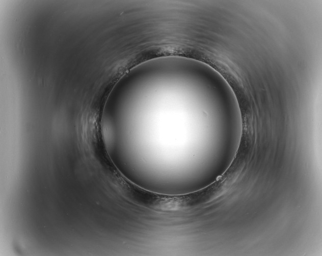 X0000093600127200710151228