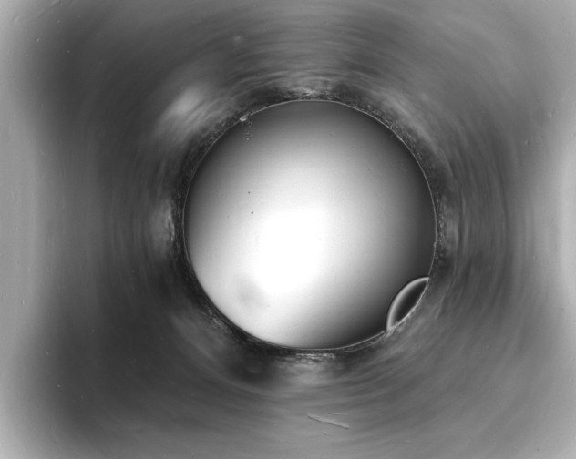 X0000093600128200710151228