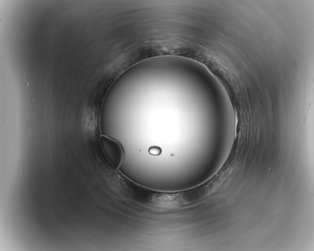 X0000093600129200710151228