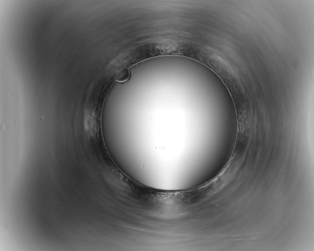 X0000093600136200710151228