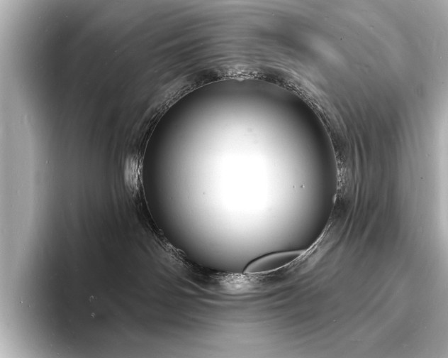 X0000093600142200710151227