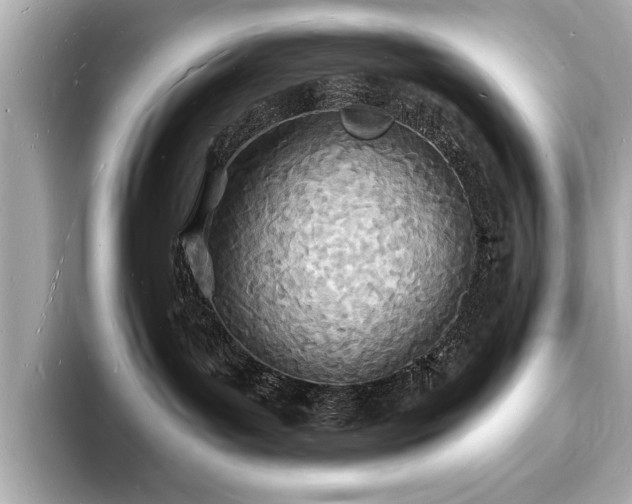 X0000093600143200710151227