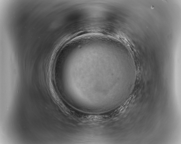 X0000093600145200710151227