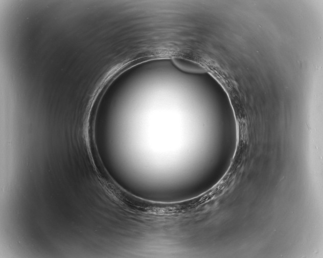 X0000093600147200710151227