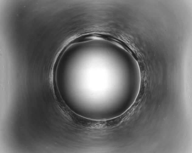 X0000093600148200710151227