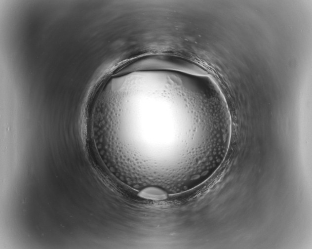 X0000093600149200710151227