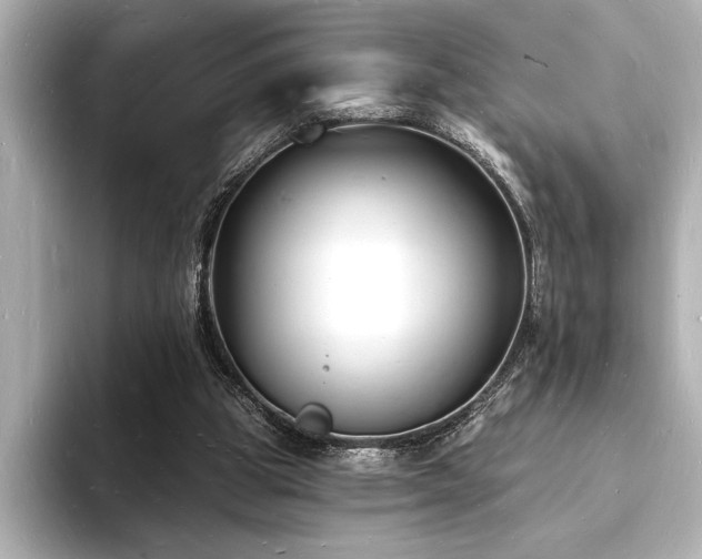 X0000093600153200710151227