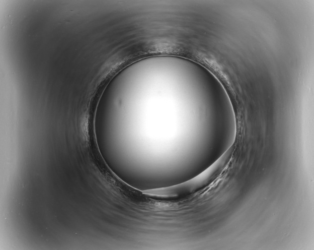 X0000093600154200710151227