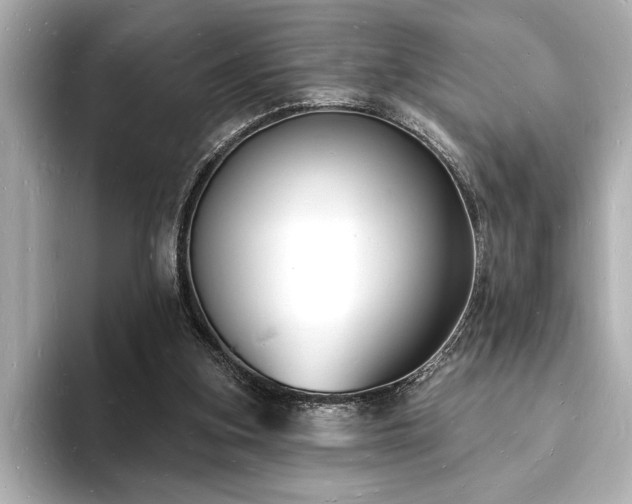 X0000093600155200710151227