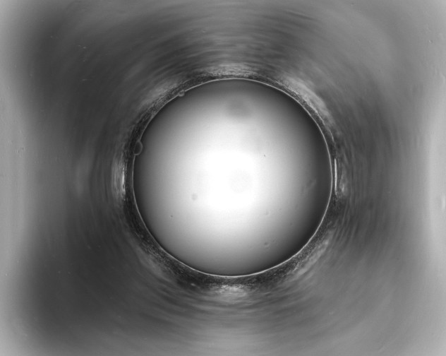 X0000093600157200710151227