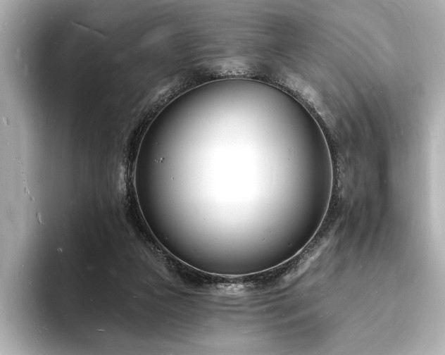 X0000093600161200710151227