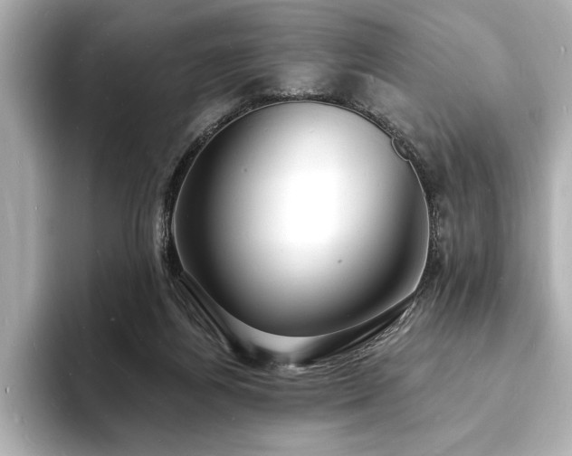 X0000093600164200710151227