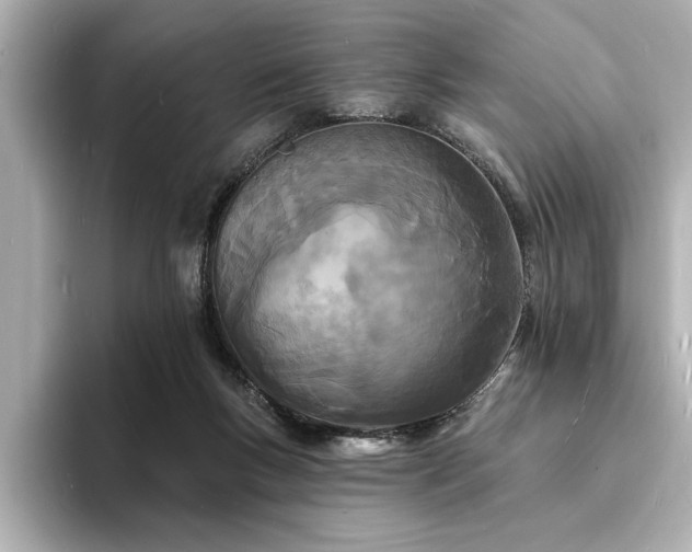 X0000093600167200710151227