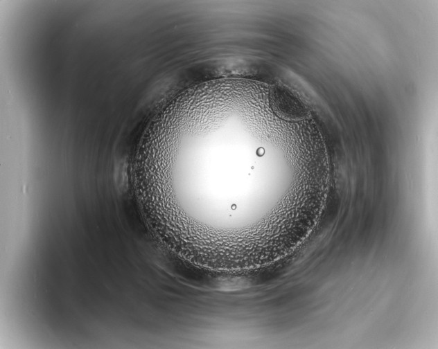 X0000093600169200710151227