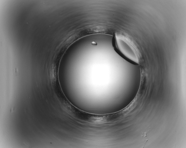 X0000093600170200710151227