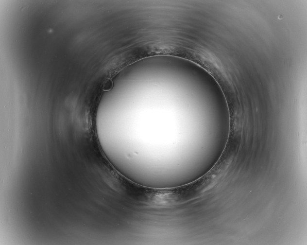 X0000093600173200710151227