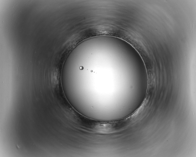 X0000093600174200710151227