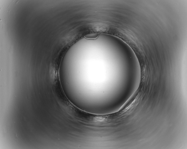 X0000093600176200710151227