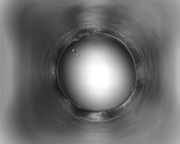 X0000093600178200710151227