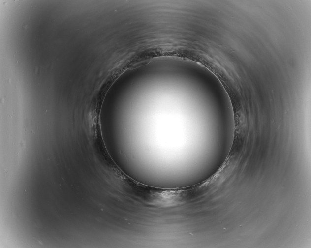 X0000093600184200710151227