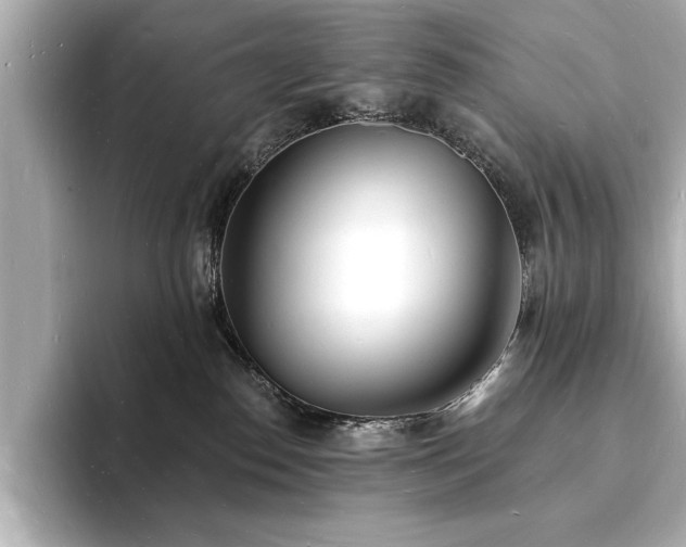 X0000093600186200710151227