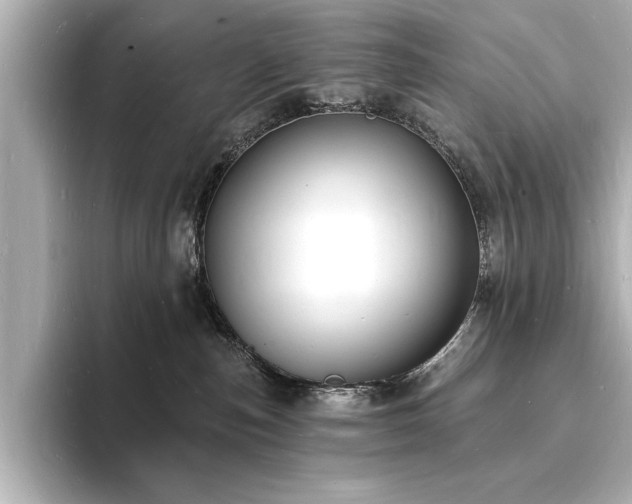 X0000093600187200710151227