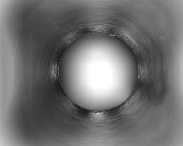 X0000093600189200710151227