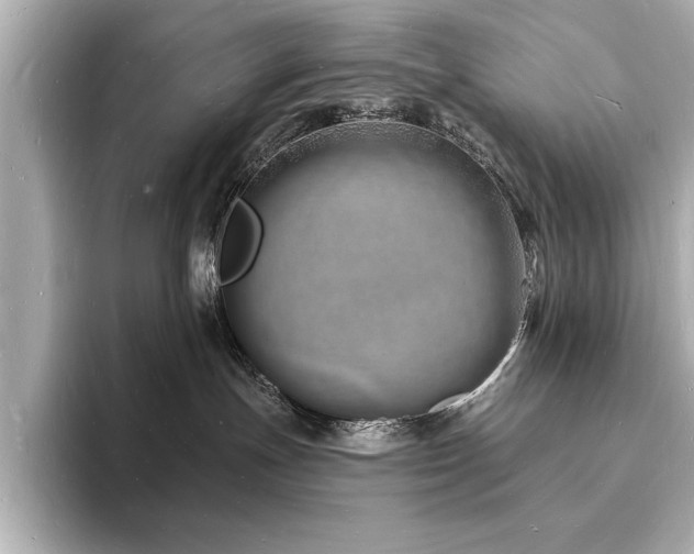 X0000093600191200710151227