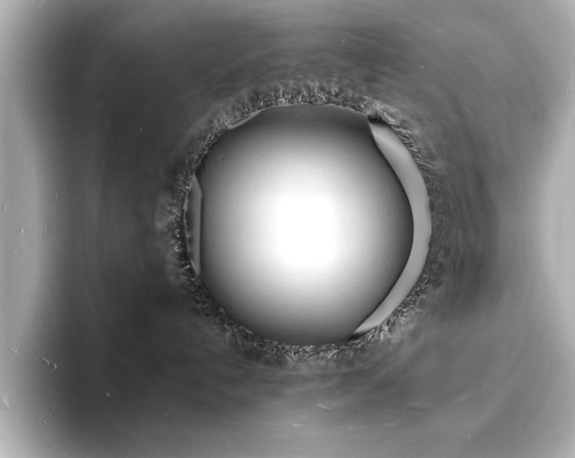 X0000093600192200710151227