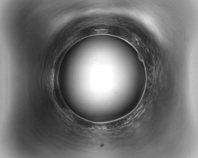 X0000093600194200710151227