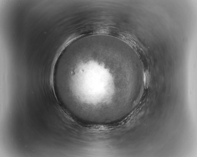 X0000093600195200710151227