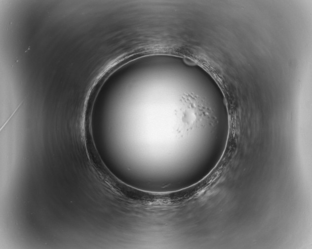 X0000093600196200710151227