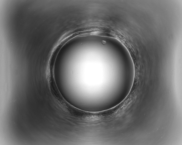 X0000093600198200710151227