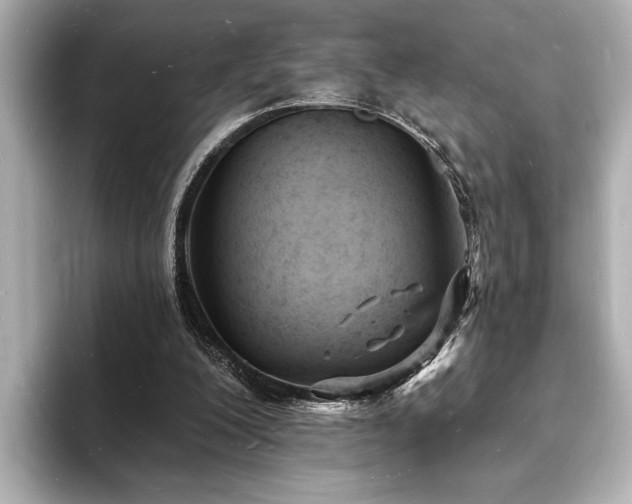 X0000093600200200710151227