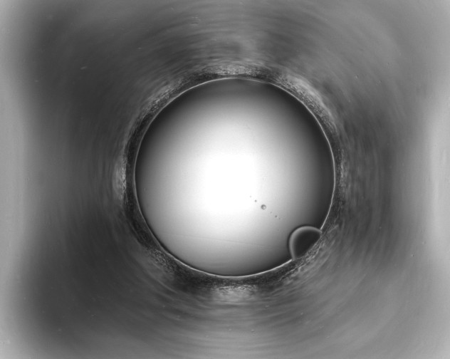 X0000093600202200710151227