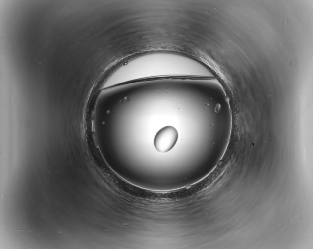 X0000093600203200710151227