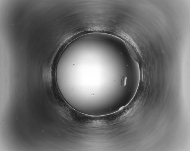 X0000093600204200710151227