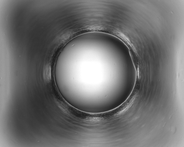 X0000093600205200710151227