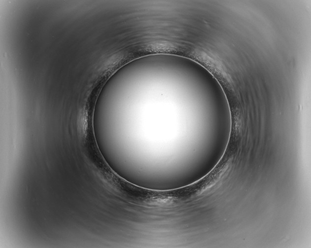 X0000093600206200710151227