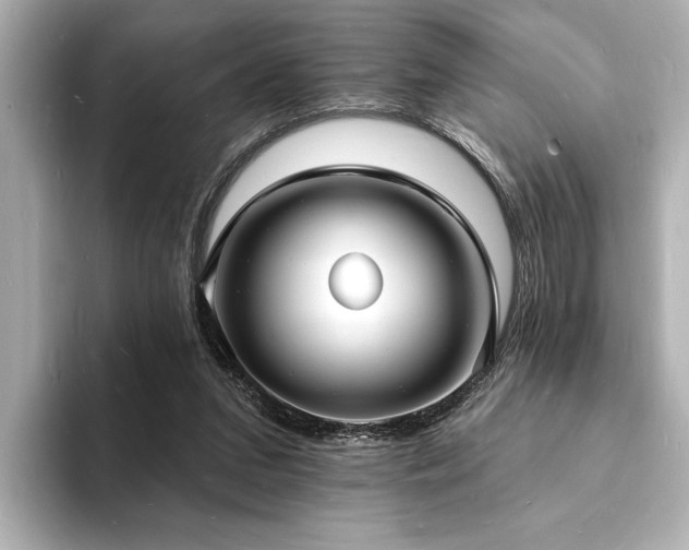 X0000093600207200710151227